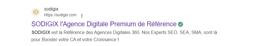 Balises Meta et Title Google