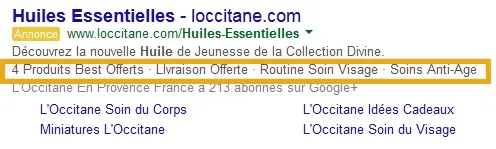 exemple d'une extension d'accroche google ads