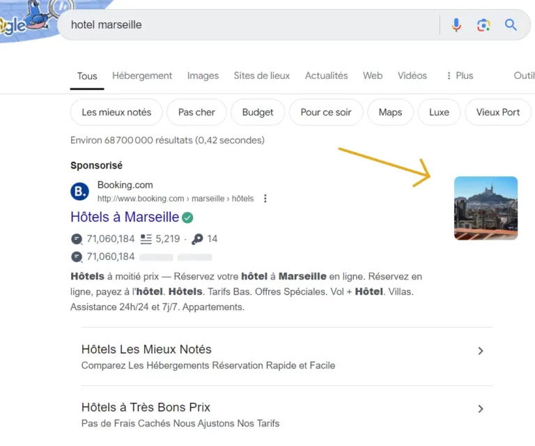 exemple de l'affichage du composant image sur google search