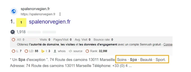 exemple extrait structure google ads