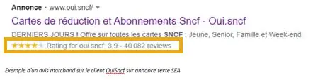 exemple d'affichage des extensions d'avis sur le marchand google ads