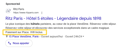 Exemple d'extraits de site google ads