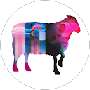 Agence Google Ads Aix-Marseille 38 Fred Mouton profile picture